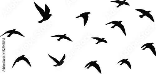 Set of graceful female dancer silhouettes, collection of ballet poses, flat vector illustration, isolated on white background, cad drawing, artistic