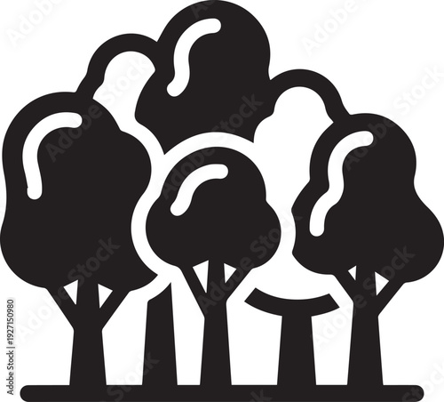 Group of trees silhouetted against a bright background, creating a natural landscape scene from a frontal viewpoint