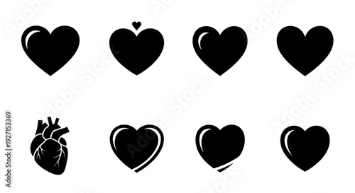 Collection of Heart Icons and Anatomical Heart Illustration