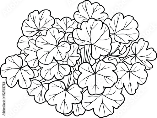 Black and White Illustration of Overlapping Geranium Leaves