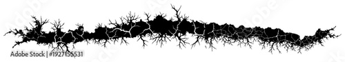Intricate horizontal ground fissure with fine branch like details in black silhouette style