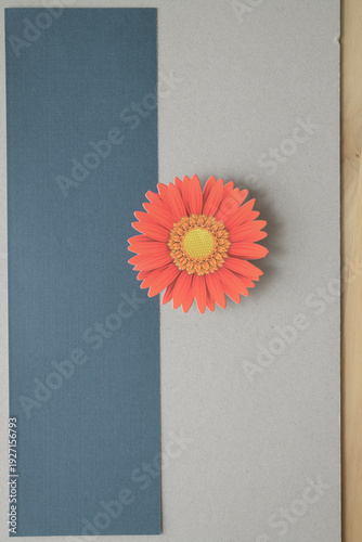 paper flower on blue paper, millboard, and wood