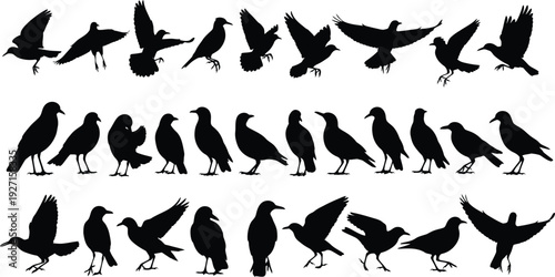 A family of four holding hands on a hilltop silhouette.