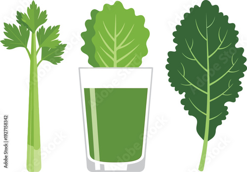 A vibrant flat design illustration of celery lettuce and kale with a green juice on transparent background silhouette high quality professional detailed