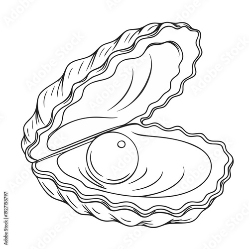 oyster, pearl, shell, monochrome, minimalist, geometric, line art, vector illustration

