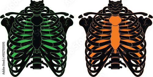 Two stylized ribcage illustrations in green and orange with black outlines ideal for design projects on transparent background silhouette high quality