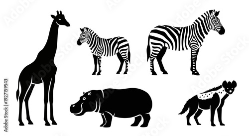 African Wildlife Silhouettes Collection: Giraffe, Zebras, Hippopotamus, and Hyena Vector Set