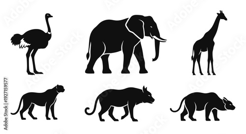 African Wildlife Silhouettes Collection. Safari Animals Set on White Background