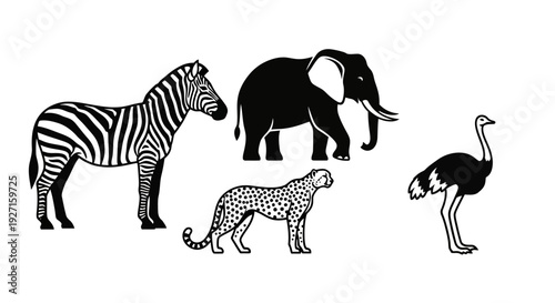 African Wildlife Silhouettes: Zebra, Elephant, Cheetah, Ostrich Collection