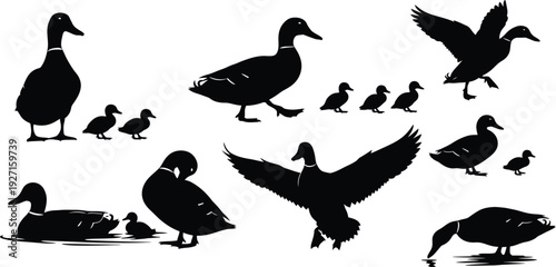 A tender moment between a parent and their sleeping infant.