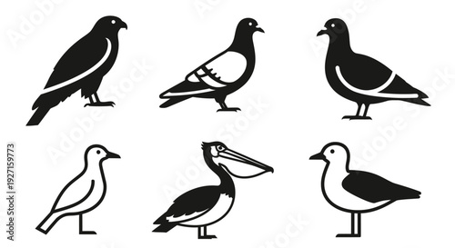 Bird Icons Set: Various Species Silhouettes and Minimalist Graphic Designs