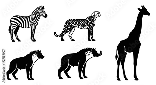 Black and white African safari animals illustration set