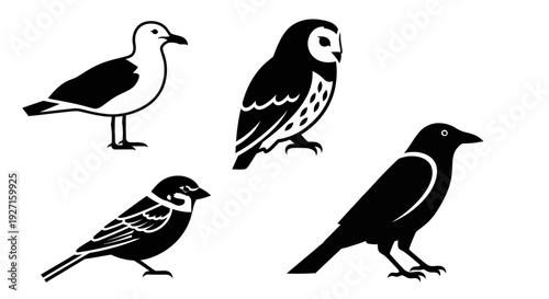 Black and White Bird Icons Set: Seagull, Owl, Sparrow, Crow Vector Graphics