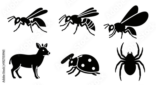 Black Animal and Insect Silhouettes Collection on White