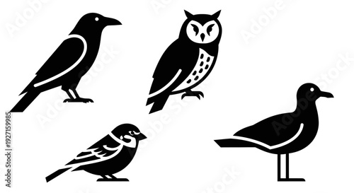 Black Bird Silhouettes Collection: Crow, Owl, Sparrow, and Seagull Icons