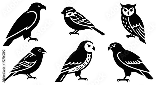 Collection of diverse bird silhouettes, vector icons for nature and wildlife designs