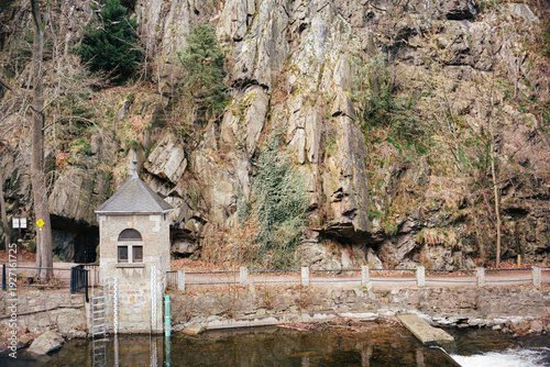 Frühlingserwachen im Harzgebirge