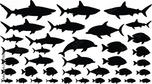 Collection of Marine Fish Silhouettes Including Sharks Dolphins Tuna and Tropical Species Isolated on White Background for Ocean Wildlife Design Vector Illustration Set