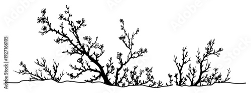 Hand drawn flowering tree branches and bushes in silhouette style