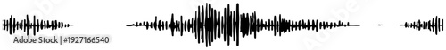 Detailed audio waveform visualization showing sound intensity and frequency fluctuations over time
