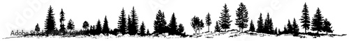Hand drawn sketch of a wild pine forest landscape