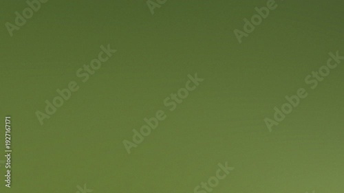 Serene Olive Backdrop: A smooth, vibrant olive green background, creating a sense of tranquility and adaptability for various design purposes. 