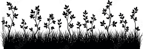 Black silhouette of tall grass with delicate branches and leaves, creating a natural border.