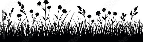 Silhouette of a grassy border with delicate wildflowers and seed heads, suitable for design elements.