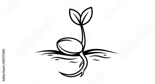 Sprouting seed illustration - A visual representation of new life and growth.