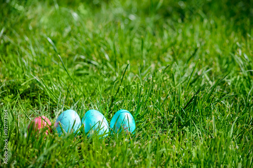 Easter eggs hiding in the grass