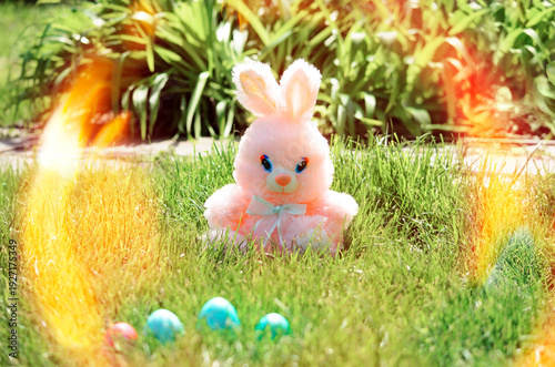 Easter eggs hiding in the grass with rabbit