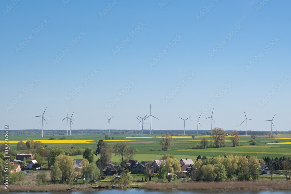 Naklejka premium rapeseed field and wind generators