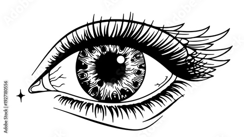 A detailed black and white vector illustration of a human eye with long eyelashes and a sparkle
