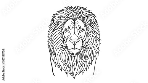 A minimalist line art illustration of a lion's head with a majestic mane