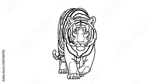 A minimalist vector illustration of a tiger in a crouching position, showcasing its powerful physique and distinctive stripes in a simple yet striking design.