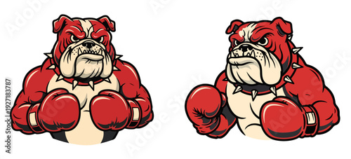 Angry bulldog boxer mascot vector illustration set. Includes two variations of a red and white bulldog wearing boxing gloves and a spiked collar. Created in cartoon style with red, white