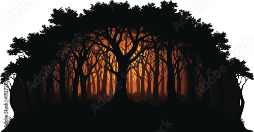 Dense forest silhouette with intricate tree detail and a warm glow presented on transparent background perfect for versatile design applications