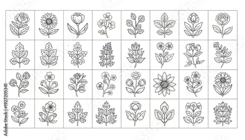 Botanical Vector Illustration Collection | Black and White Floral Grid | Stylized Plant Line Art | Decorative Flower Sketches | Educational Vector Artwork for Botanical Studies