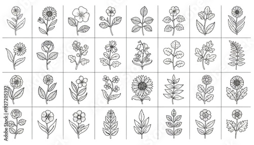 Botanical Vector Illustration Collection | Black and White Floral Grid | Stylized Plant Line Art | Decorative Flower Sketches | Educational Vector Artwork for Botanical Studies