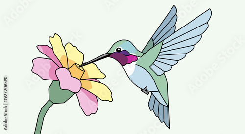 Vector illustration of a hummingbird feeding on a pink and yellow flower with a long beak in flat design style