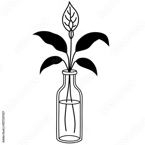 Aesthetic ornamental plant silhouettes