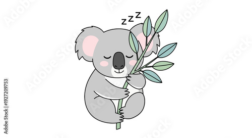 Cartoon gray koala sleeping on eucalyptus branch vector flat illustration; cute marsupial character hugging leaves isolated on white background for kids design