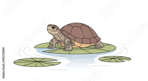 Cartoon turtle resting on lily pad in pond illustration; flat vector design featuring nature wildlife and calm aquatic scene