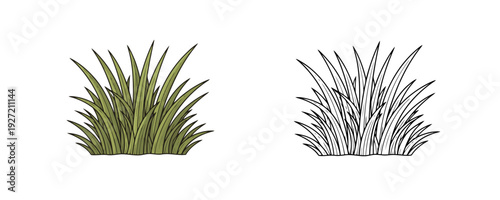 Green meadow grass bush in colored and line art styles green and black tones nature landscape element used for summer garden or park design isolated on white background