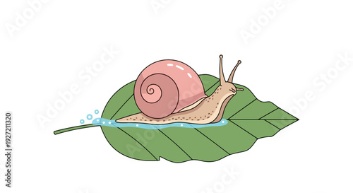 Snail on a leaf vector illustration; a cute cartoon snail with a pink shell crawling on a wet green leaf with water bubbles
