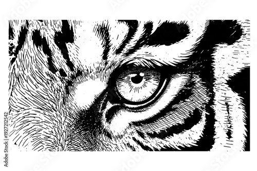 Intricate black and white tiger eye with detailed sketch style and textured fur patterns