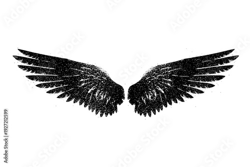 Grunge style black wings with feather texture on white background