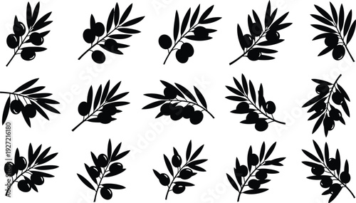Collection of olive branches and fruits in black silhouette style showcasing various arrangements on transparent background high quality professional detailed modern