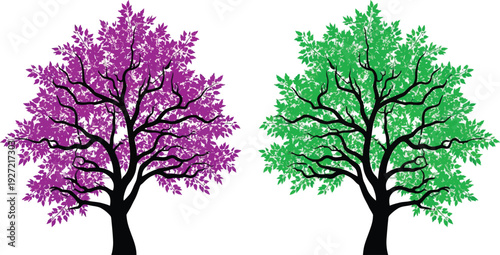 Two stylized trees in purple and green hues detailed foliage black outlines on transparent background silhouette high quality professional modern elegant