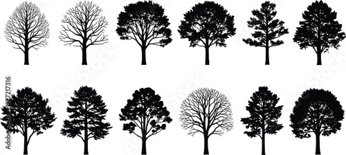 Tree silhouette collection with leafy and leafless shapes, seasonal botanical set, flat vector illustration for nature and landscape design